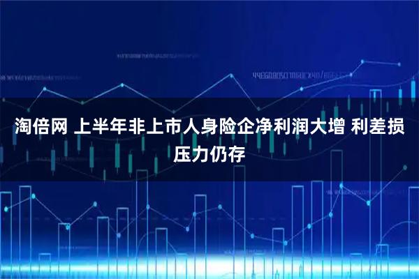 淘倍网 上半年非上市人身险企净利润大增 利差损压力仍存